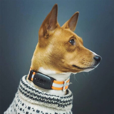 Dog Collar Tracker With GPS 3