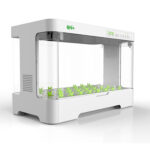 Hydroponic Irrigation Systems 2