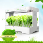Hydroponic Irrigation Systems 5