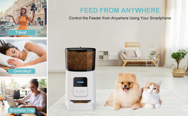 Pet Feeder 10