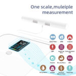 Smart Body Scale 4